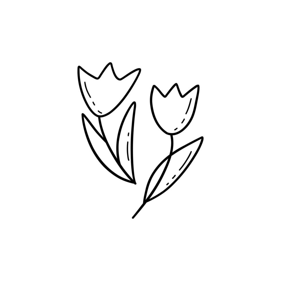 dos tulipanes, blanco y negro, vector, garabato vector