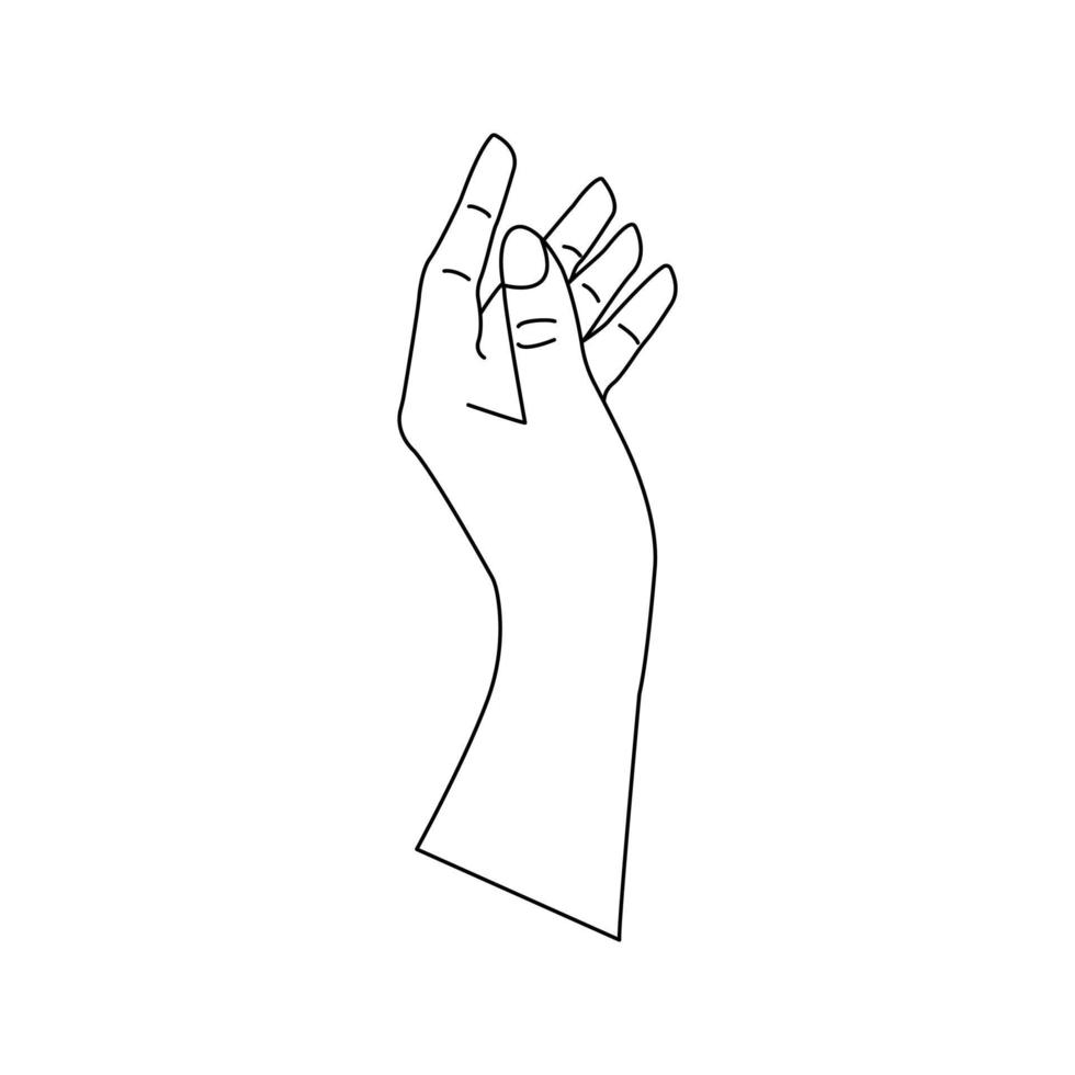 Human hand, gesturing. Linear vector isolated doodle