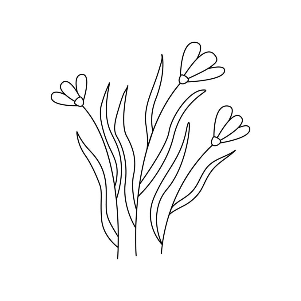 flores silvestres del prado. garabato vectorial abstracto aislado vector