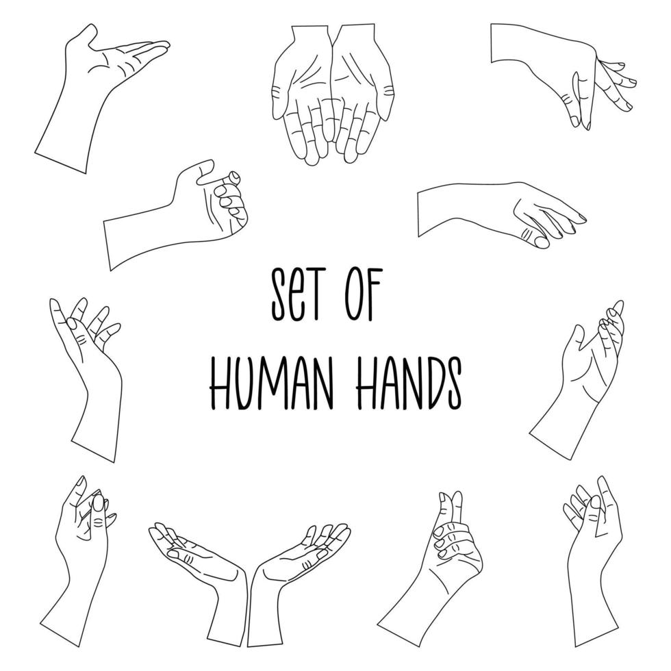 Human hands set. Linear vector isolated black and white