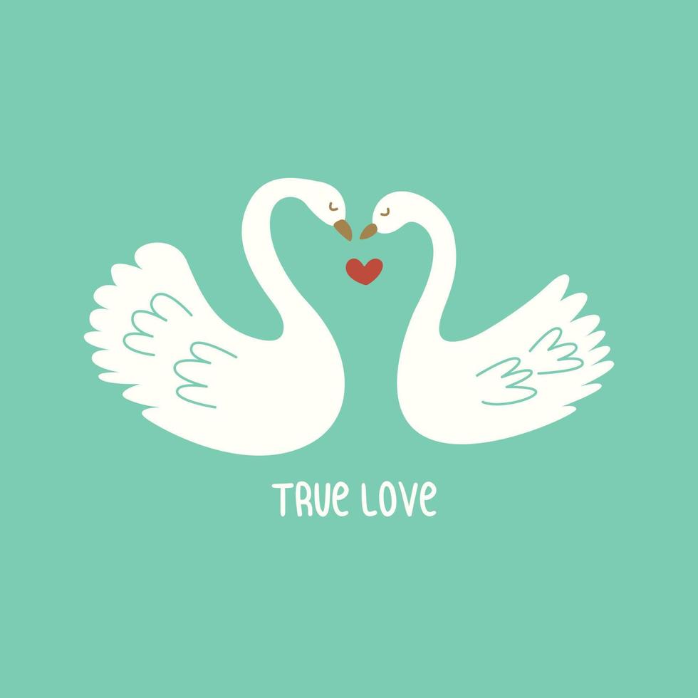 Two white swans in love. Vector colorful