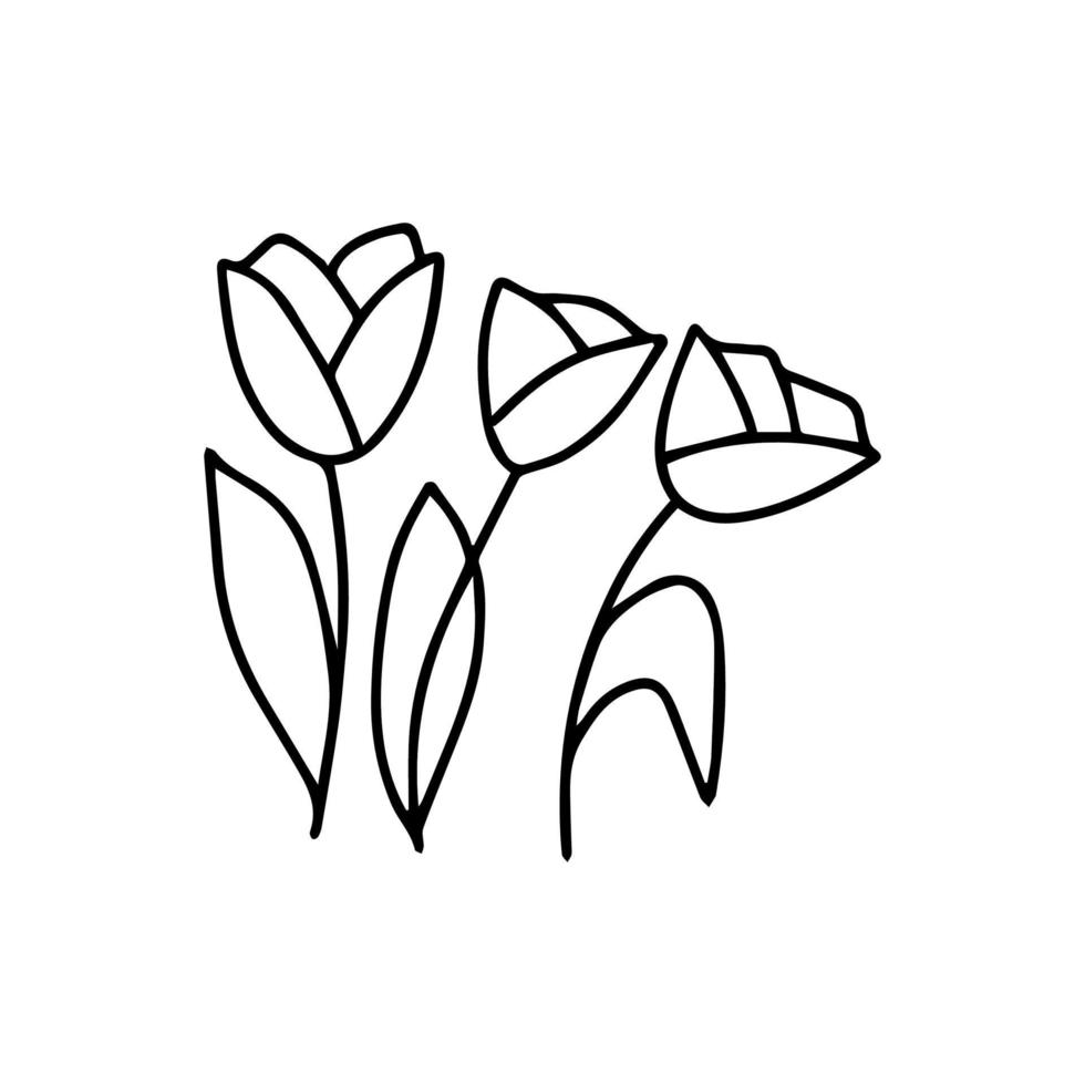 Three tulips black and white vector illustration