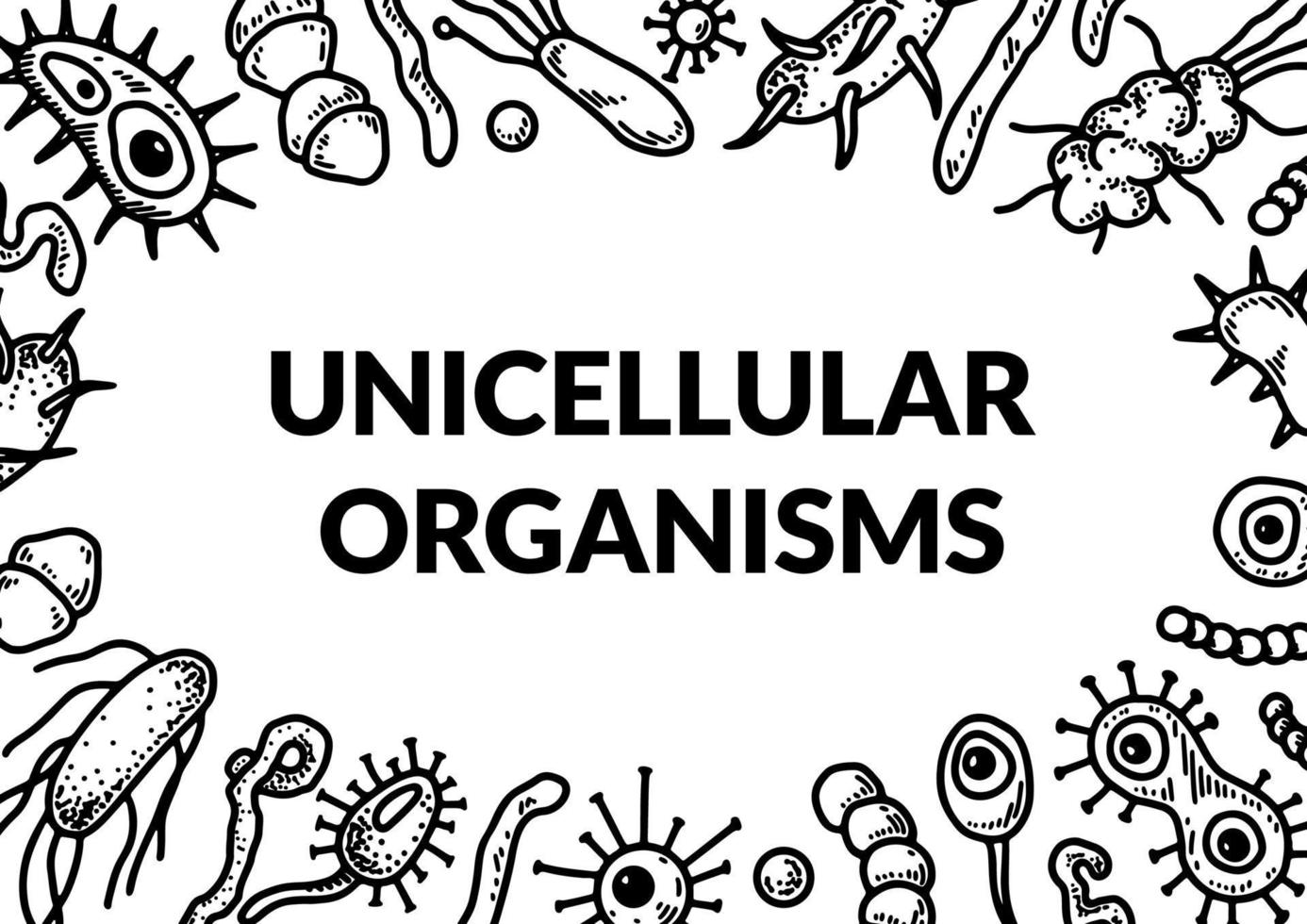 Microscopic unicellular organisms design. Scientific biology vector illustration in sketch style