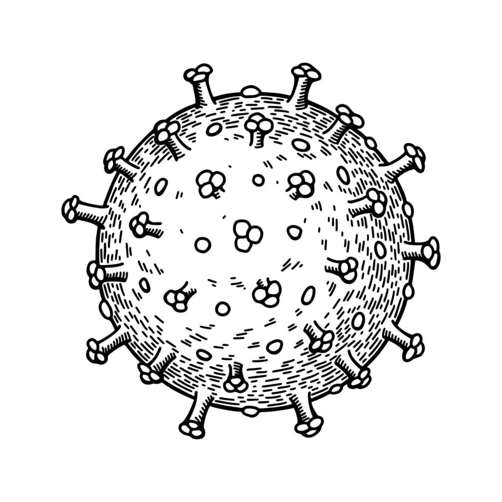 Rotavirus dibujado a mano aislado sobre fondo blanco. ilustración vectorial científica detallada realista en estilo de boceto vector