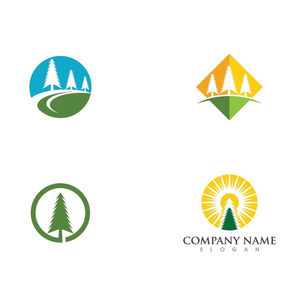 Cedar tree Logo template vector