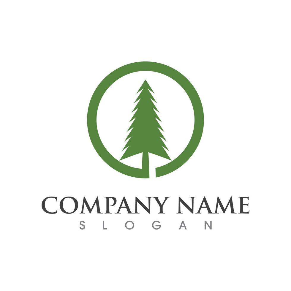 Cedar tree Logo template vector