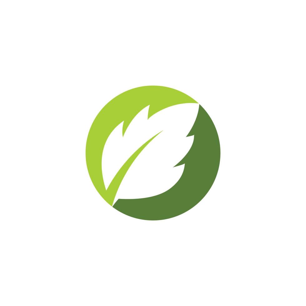 Mint leaves flat vector icon