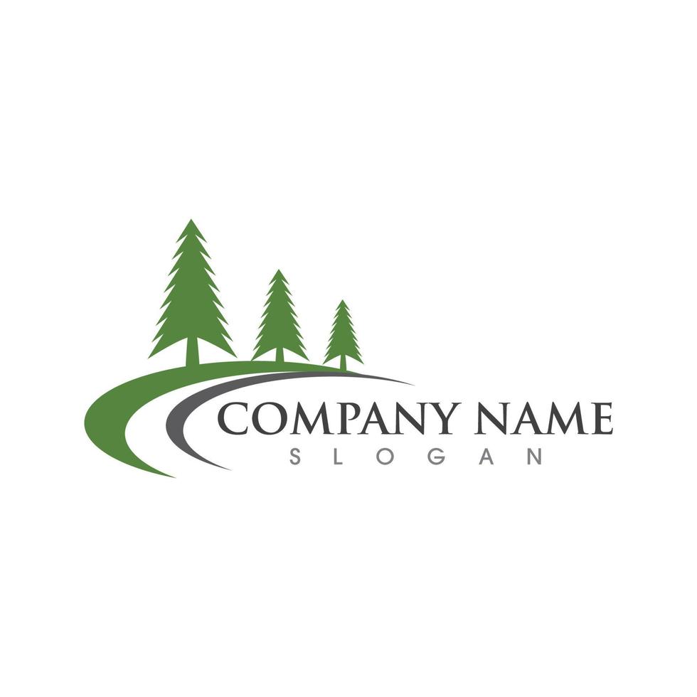 Cedar tree Logo template vector