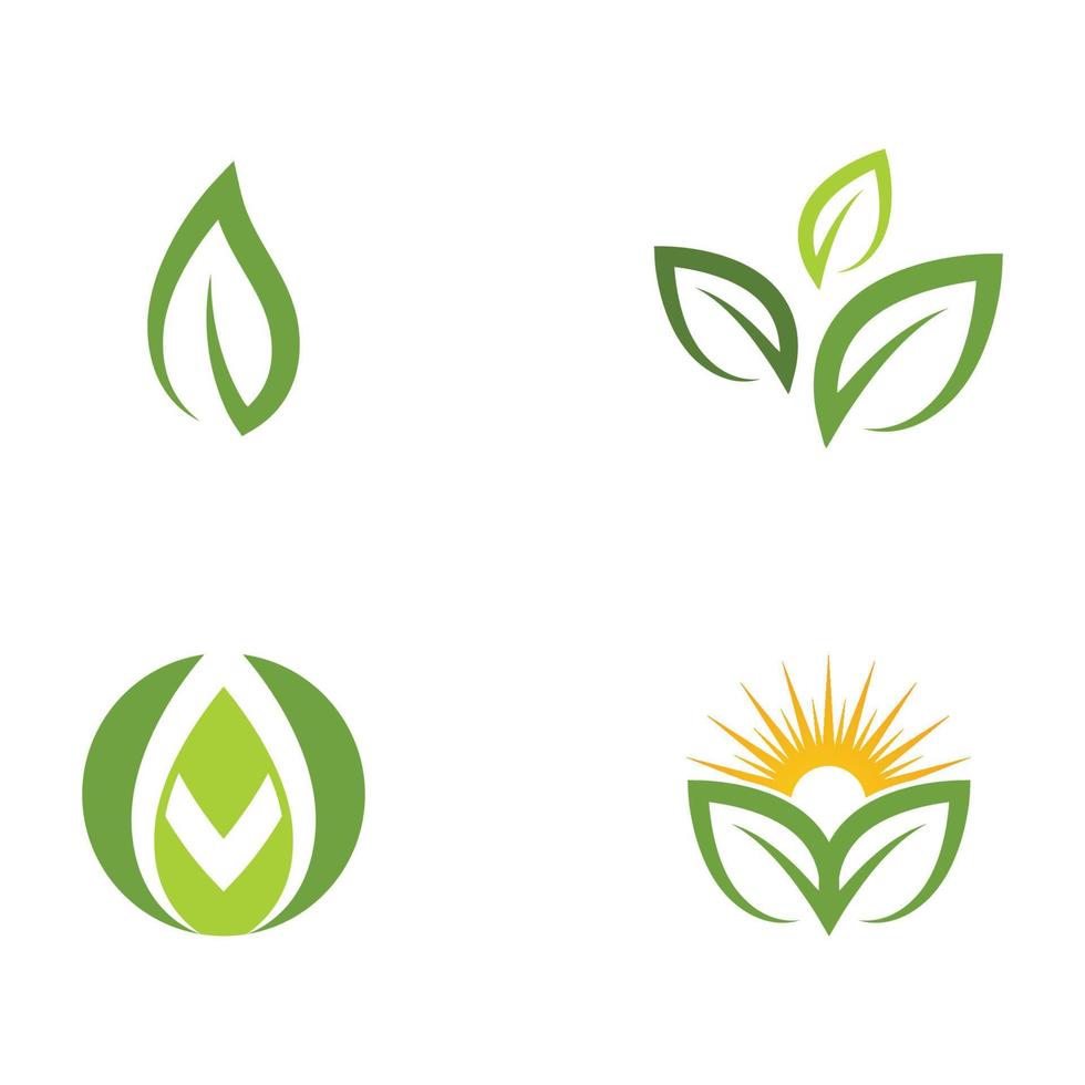 logotipos de la ecología de la hoja del árbol verde vector