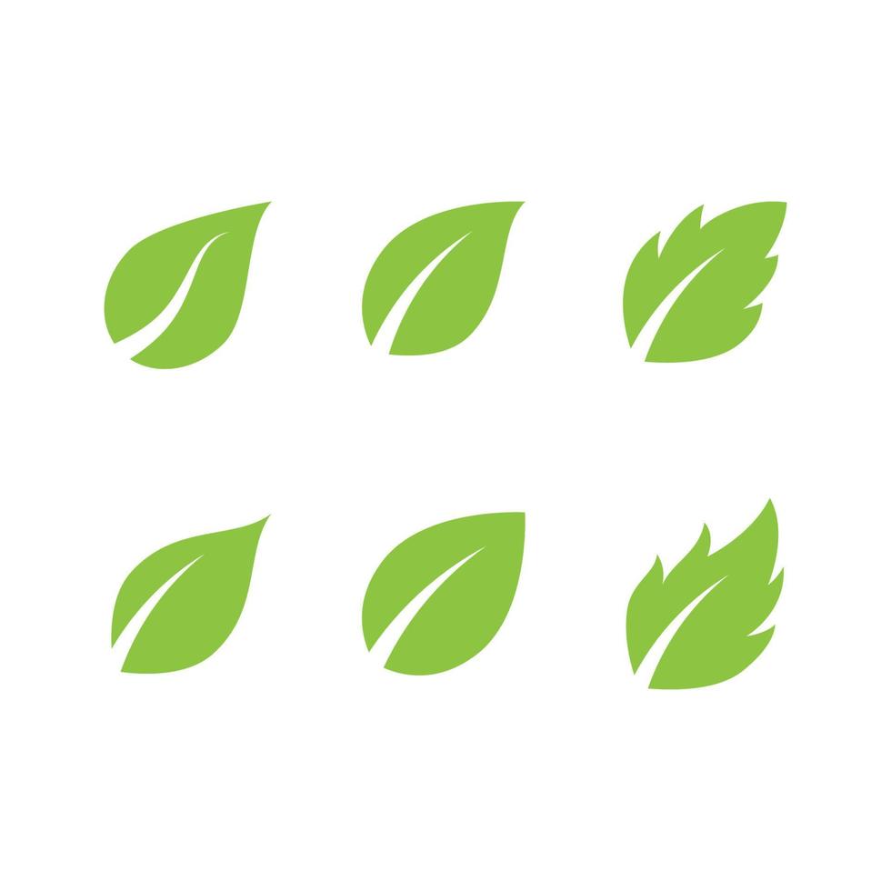 Mint leaves flat vector icon