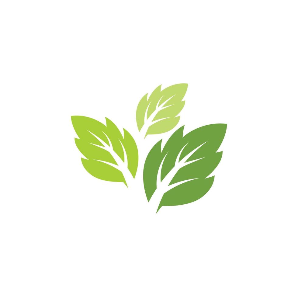 Mint leaves flat vector icon