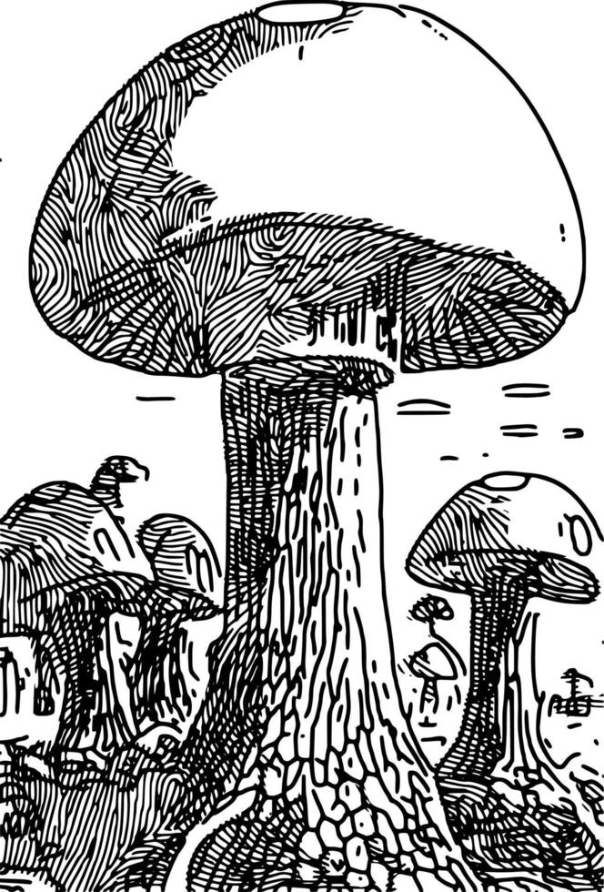 vector illustration of mushroom cartoon