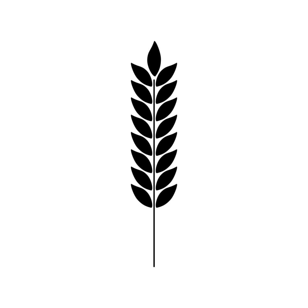 vector de icono de trigo. signo de ilustración de cereales. símbolo de la cosecha. logotipo de la granja.