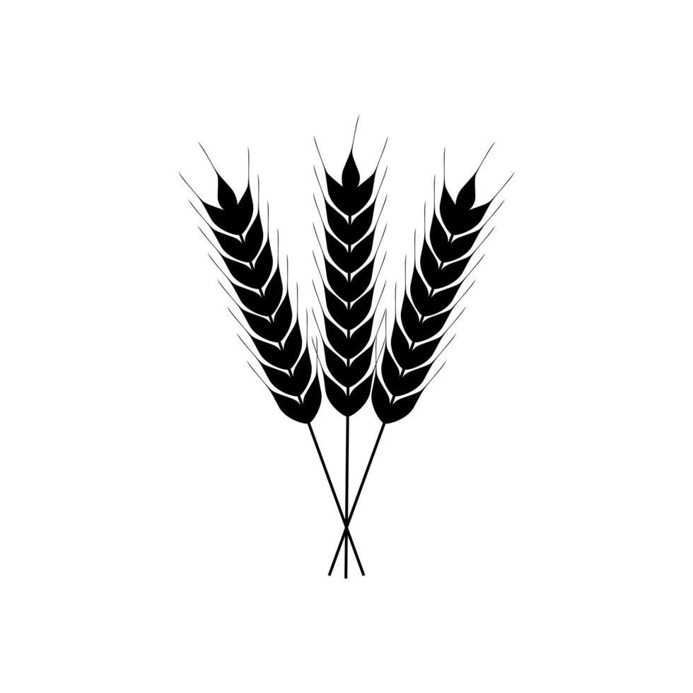 vector de icono de trigo. signo de ilustración de cereales. símbolo de la cosecha. logotipo de la granja.