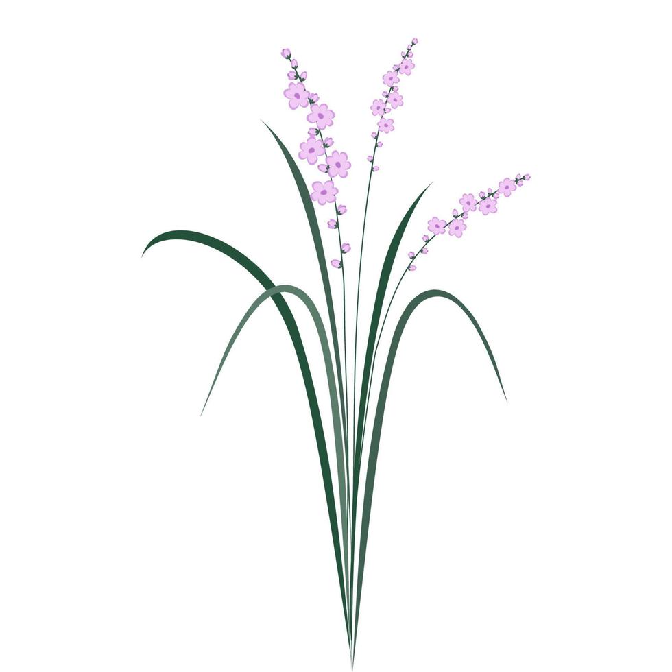 WebBlooming tropical grass bush. Greenery with pink flowers. design element vector