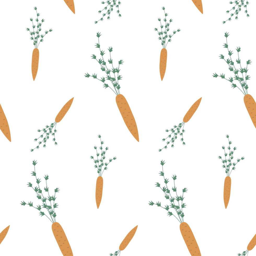 Seamless background with carrots on white. Vegetables for wrapping paper. pattern vector