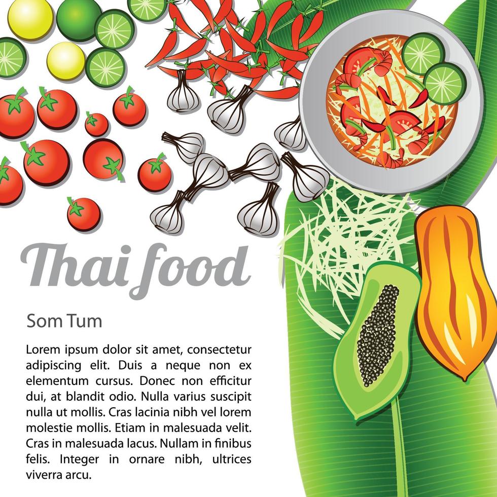 Isolated Thai Food Menu Som Tum vector