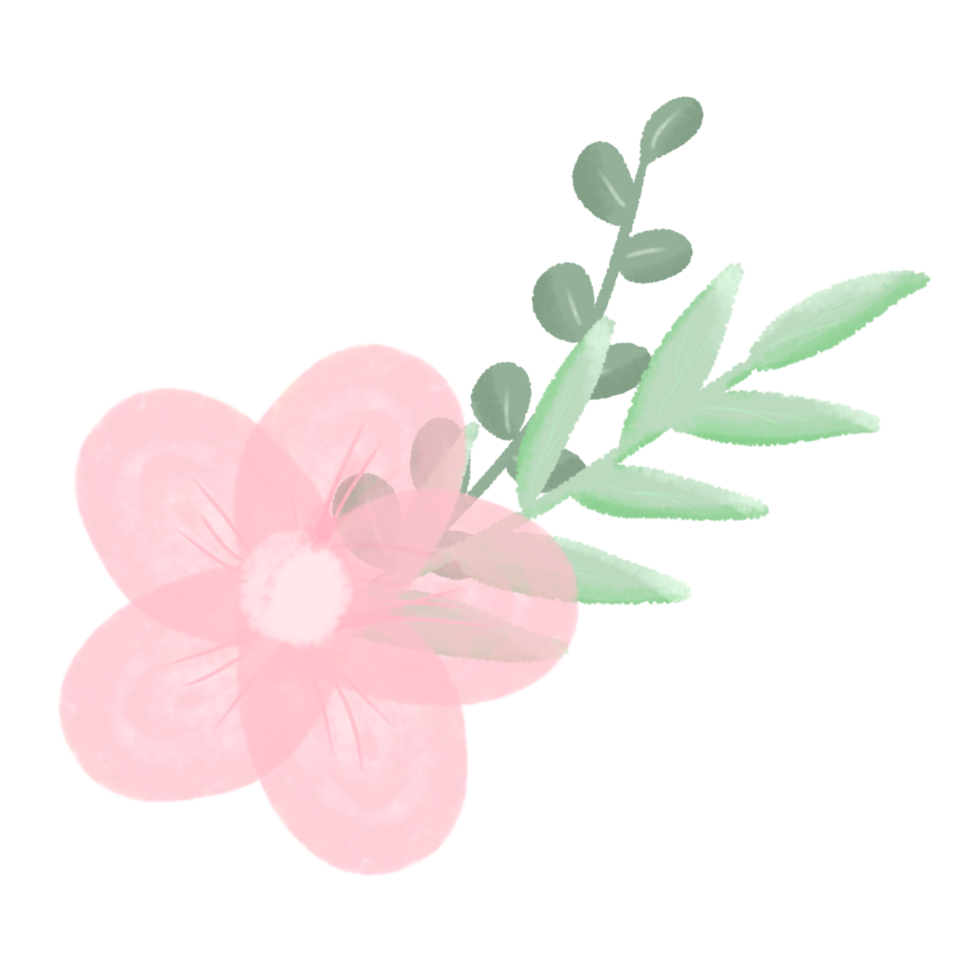 aesthetic flower illustration 18870252 PNG