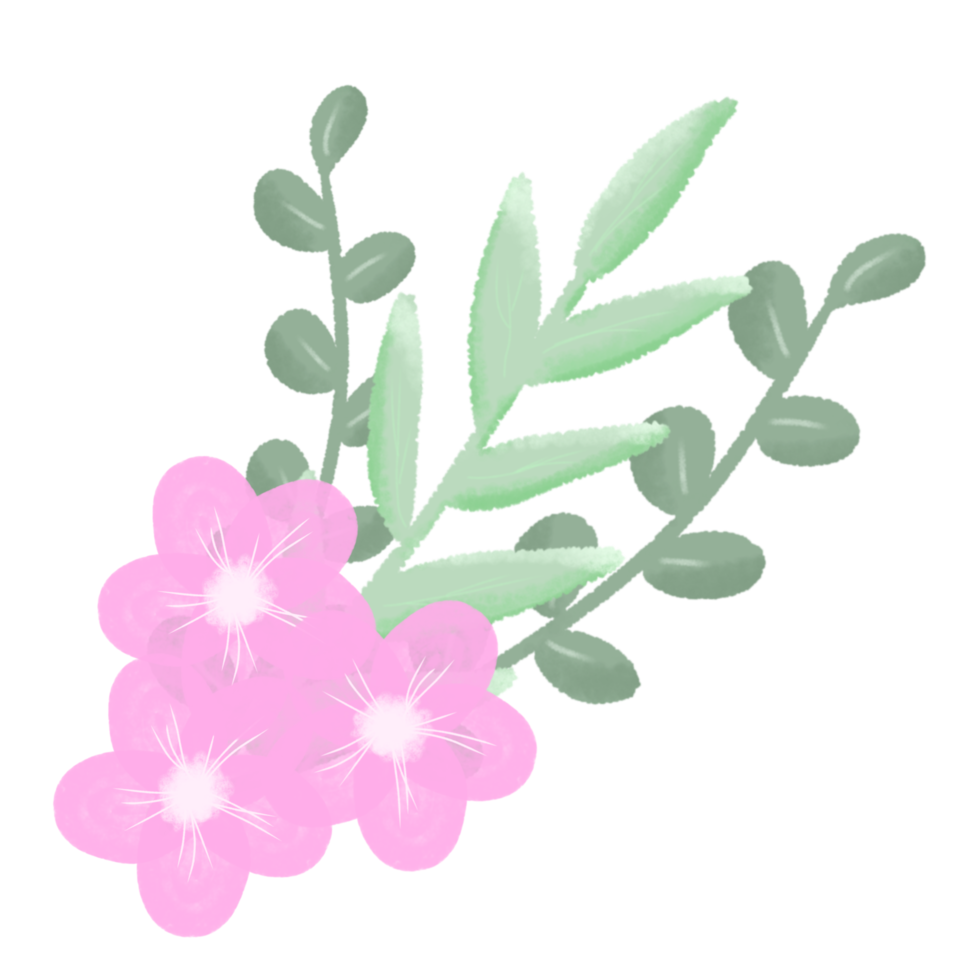 aesthetic flower illustration 18870258 PNG