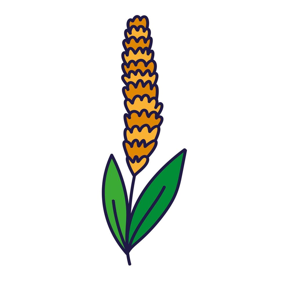 wheat plant icon vector