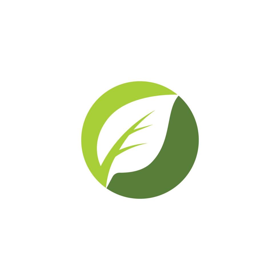Mint leaves flat vector icon