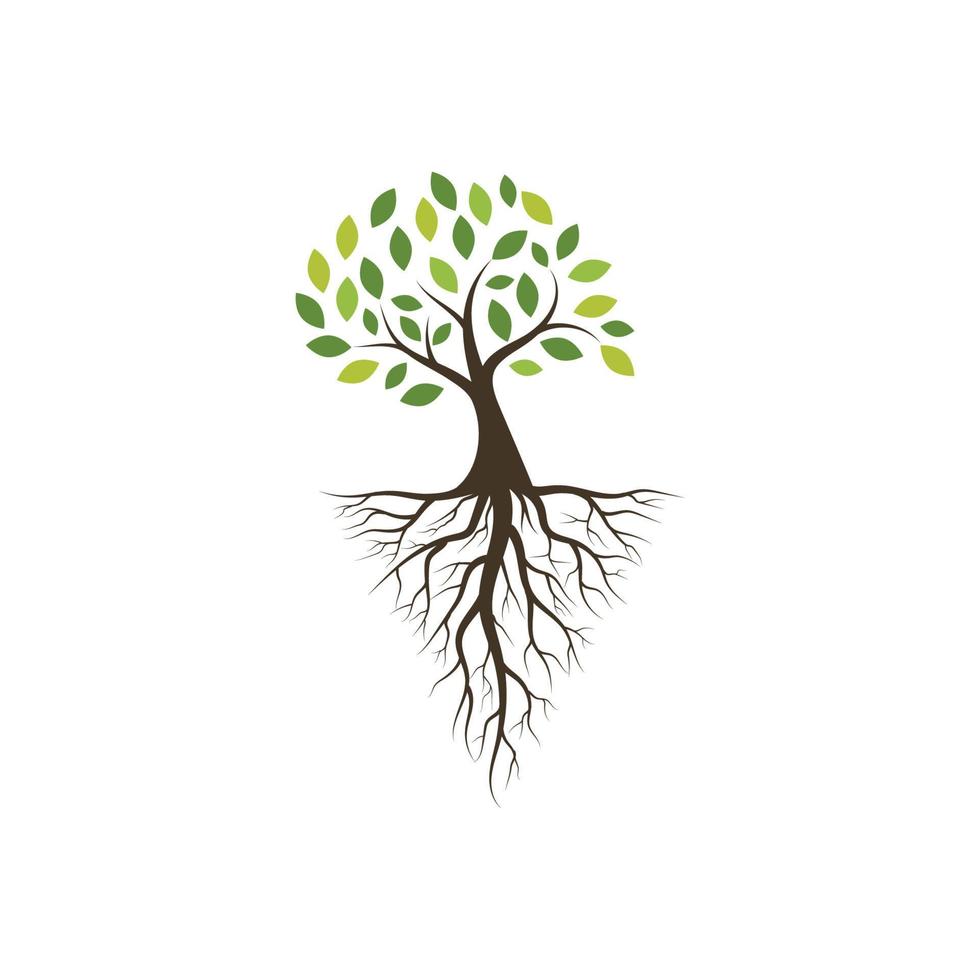 Tree branch vector ilustration design