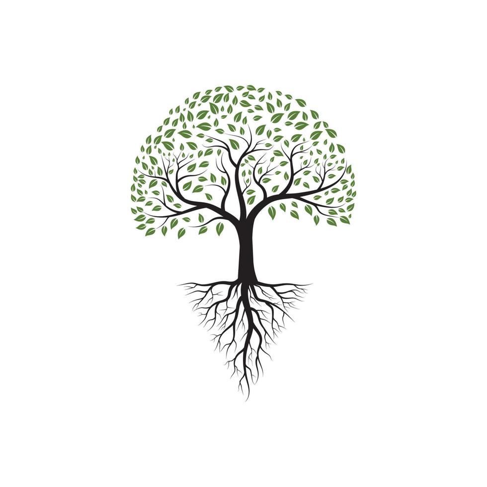 Tree branch vector ilustration design