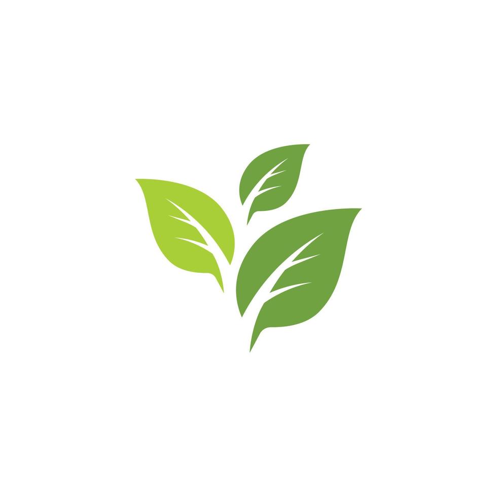 Mint leaves flat vector icon