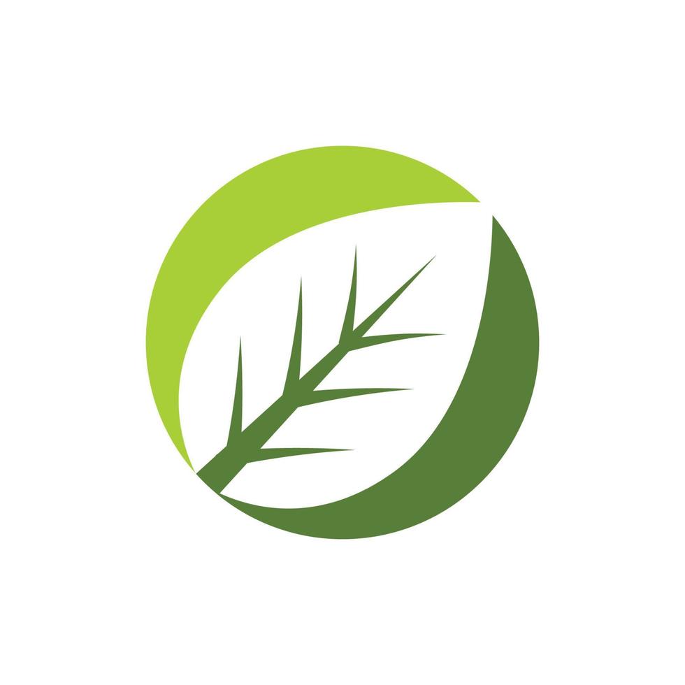 Mint leaves flat vector icon