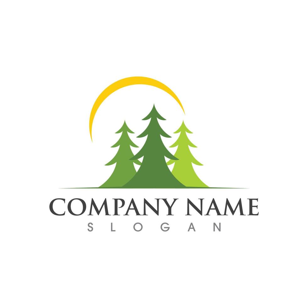 Cedar tree Logo template vector