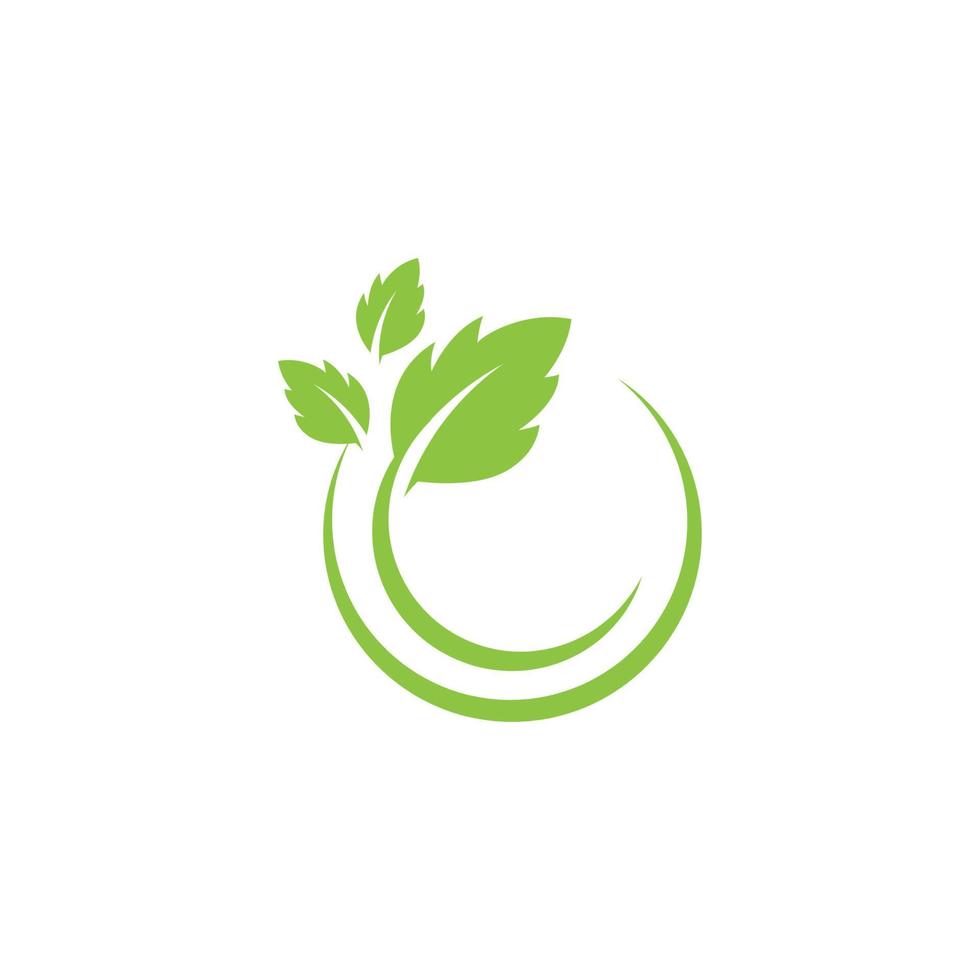 Mint leaves flat vector icon