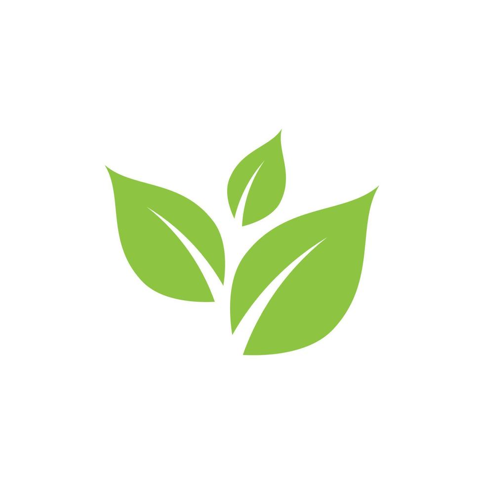 Mint leaves flat vector icon