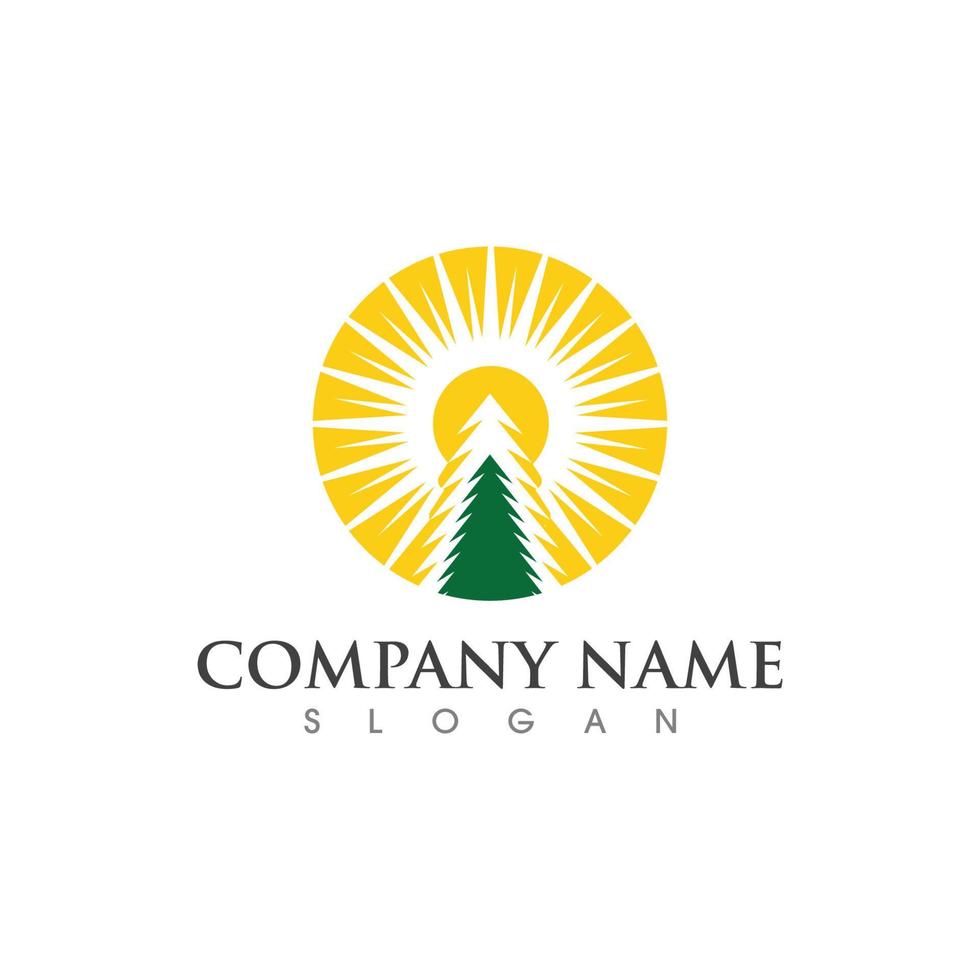Cedar tree Logo template vector