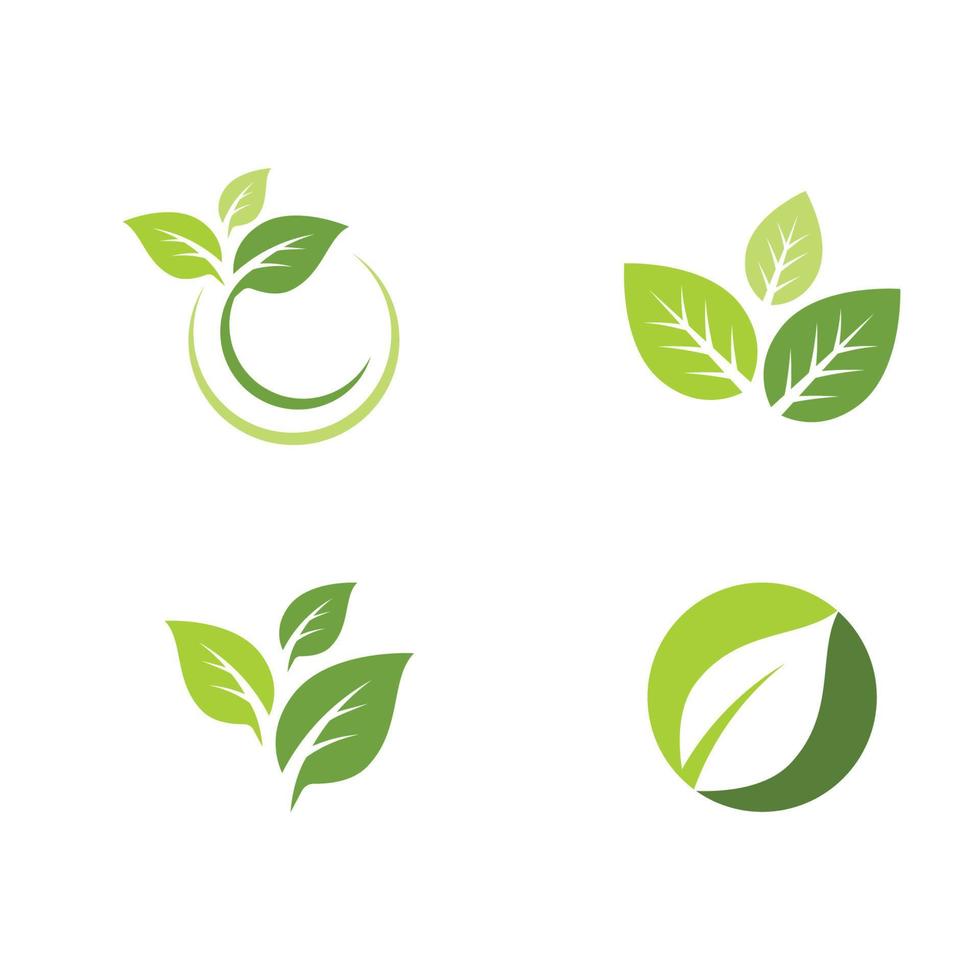 Mint leaves flat vector icon