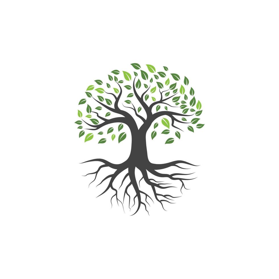 Tree branch vector ilustration design