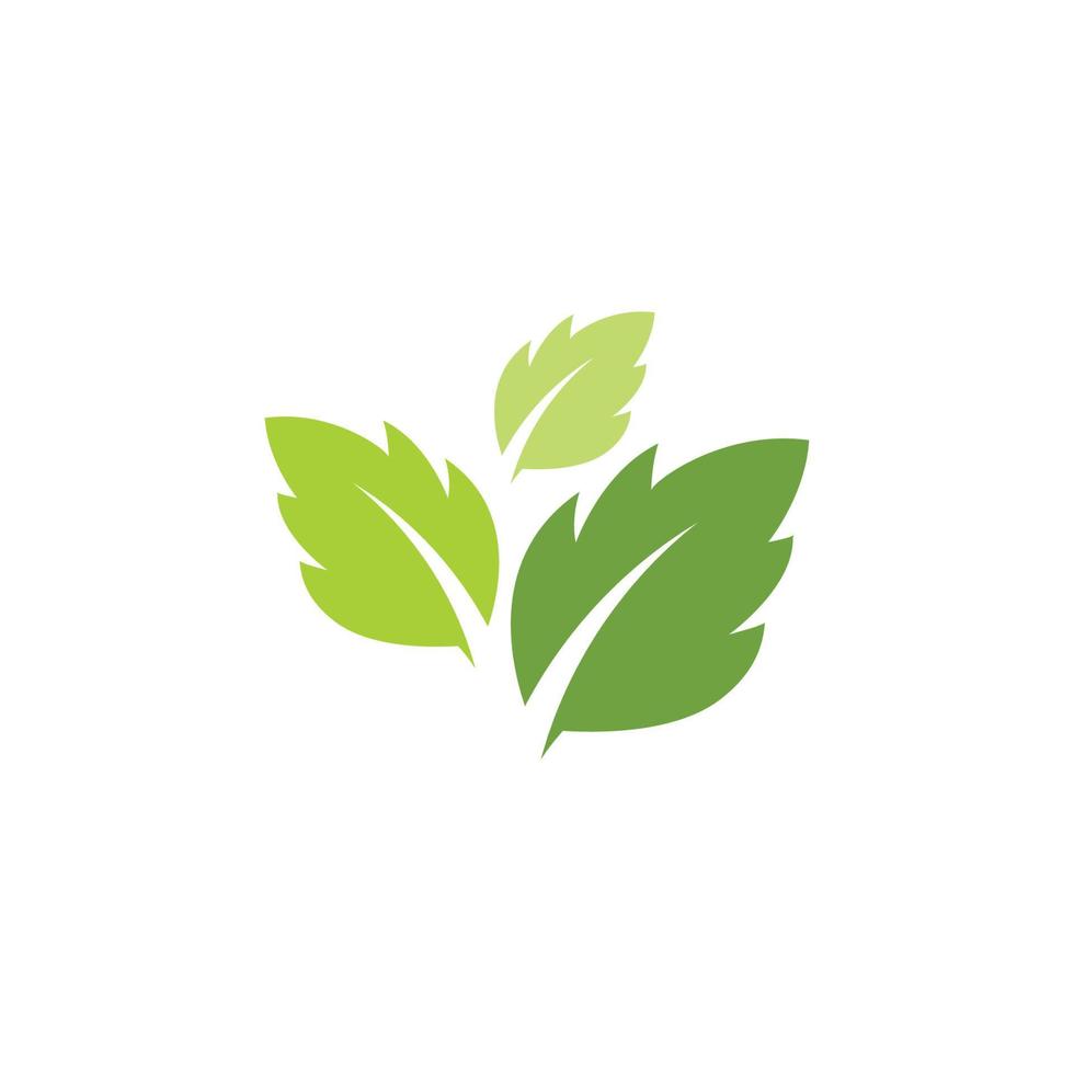 Mint leaves flat vector icon
