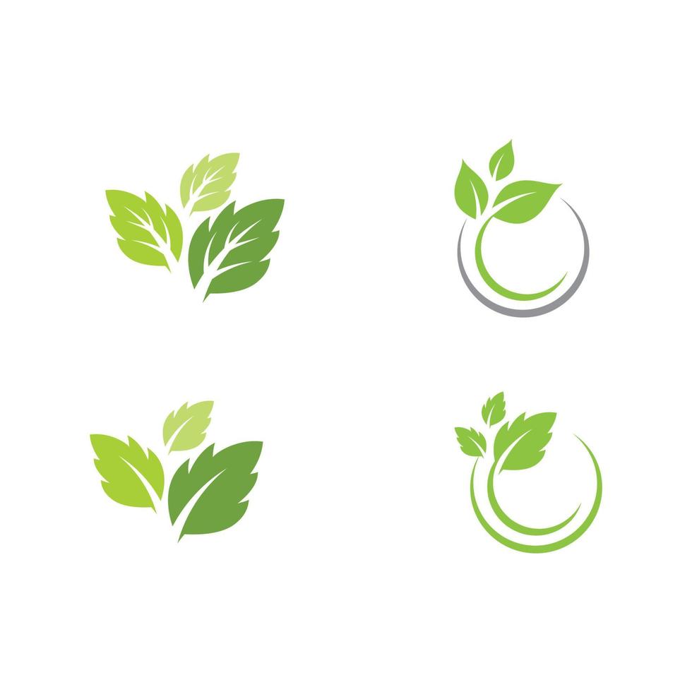 Mint leaves flat vector icon