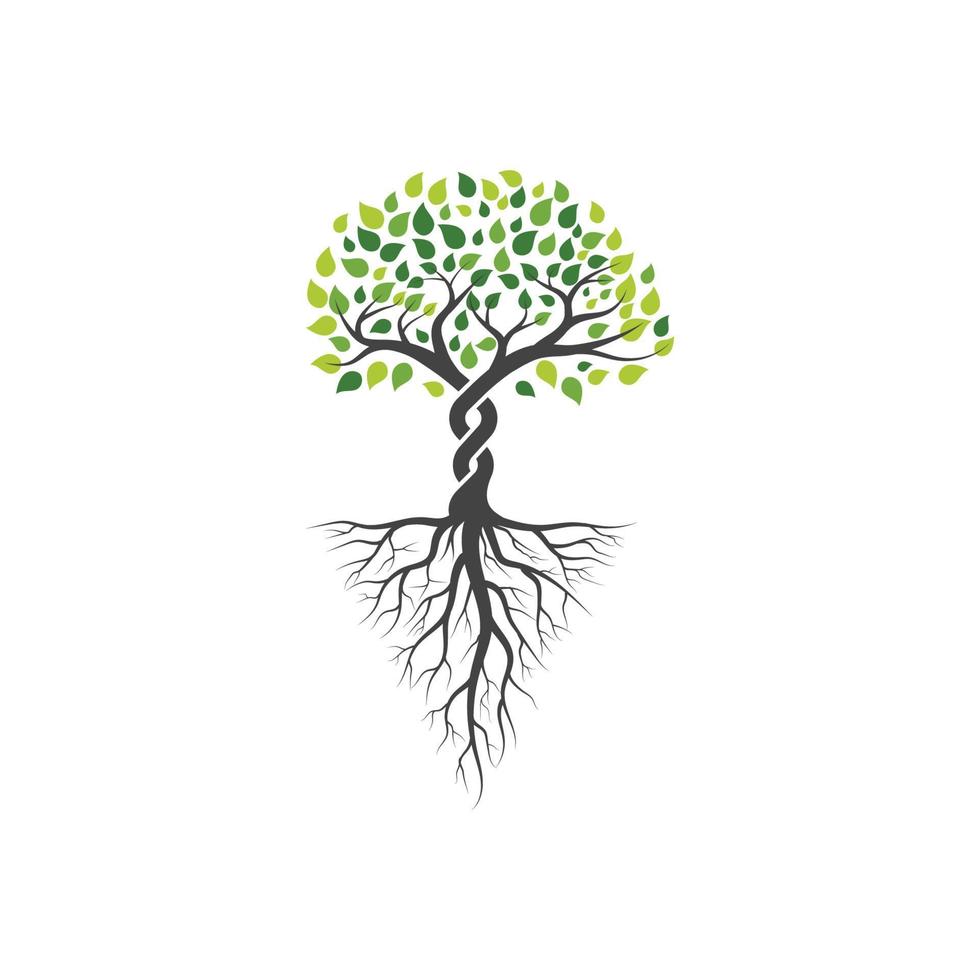 Tree branch vector ilustration design