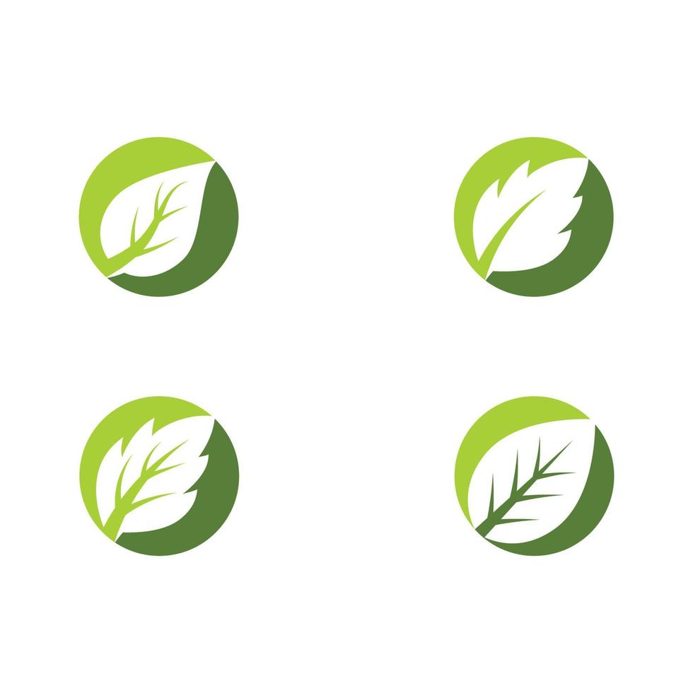 Mint leaves flat vector icon