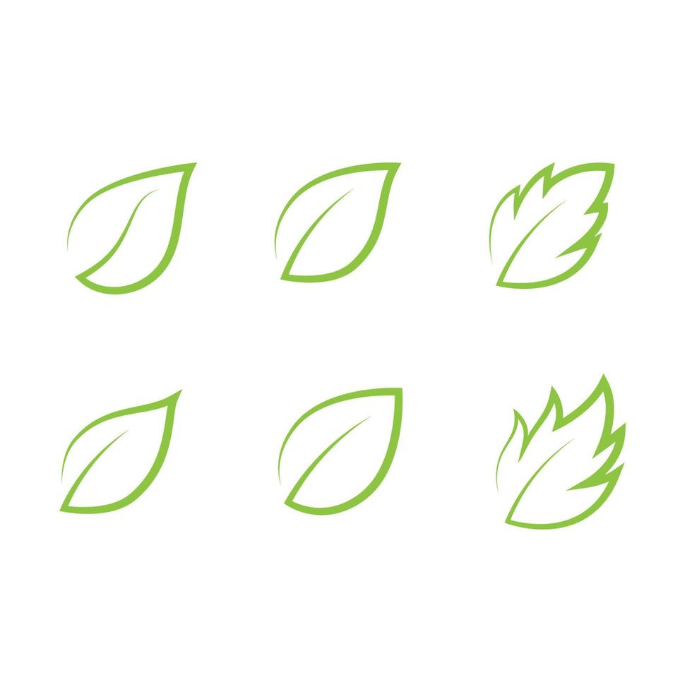 Mint leaves flat vector icon