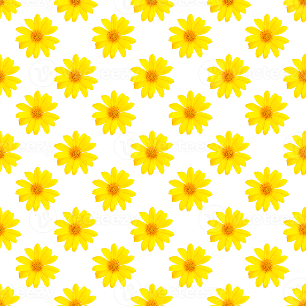 pattern of yellow flowers for summer png