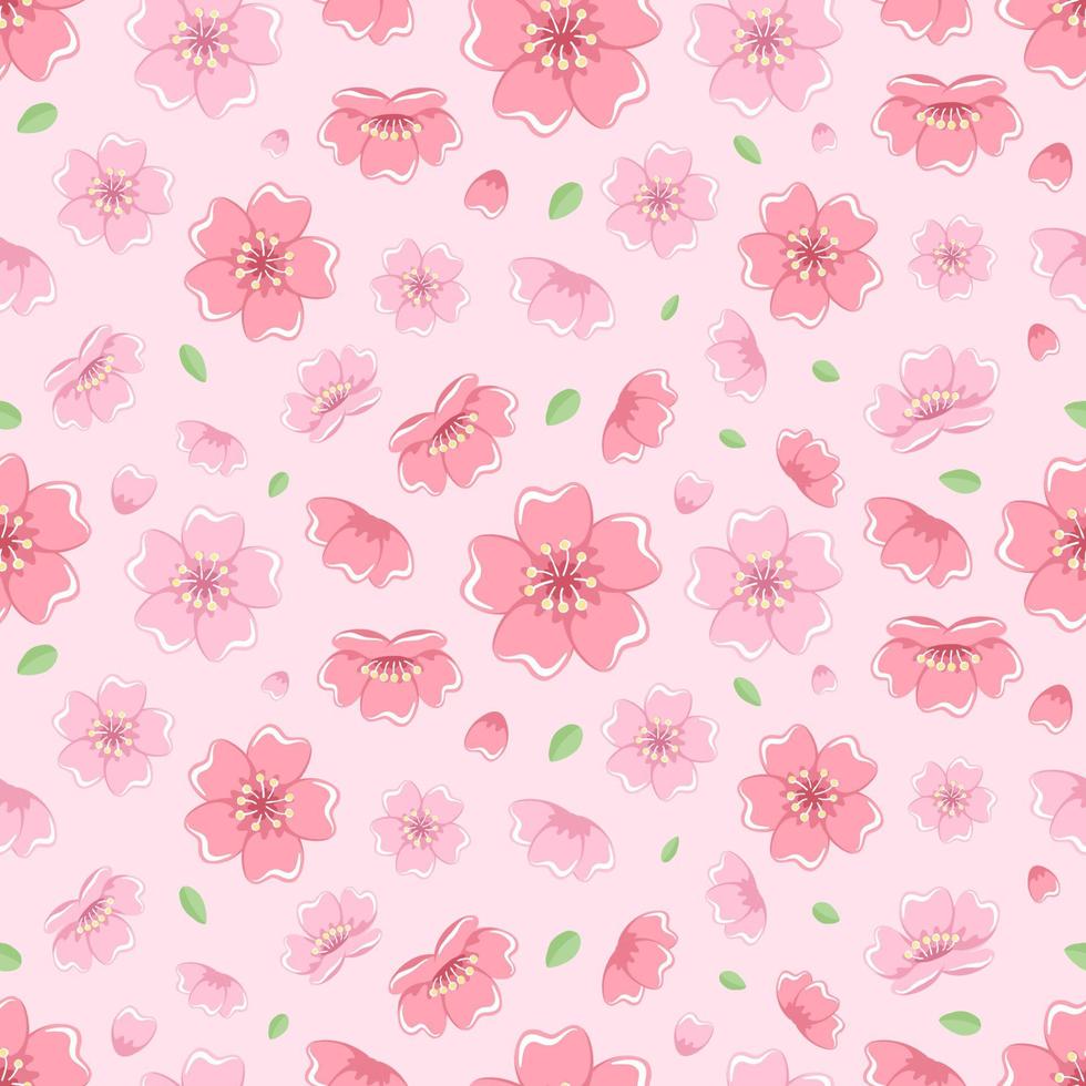 Cherry blossom seamless pattern. Japanese flower pattern vector