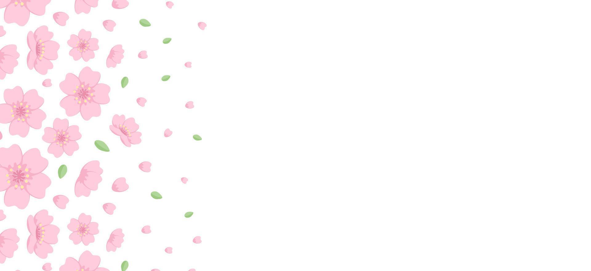Cherry Blossom Banner Background. Falling Petals and Leaves Illustration. vector