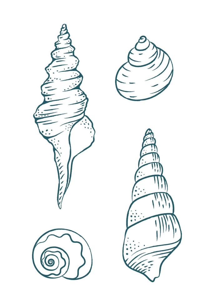 Seashells vector illustration set. Abstract boho sketch doodle style. Illustrations for menu, seafood restaurant design, resort hotel spa, surf boards. Wall Art Print, t shirt, phone case