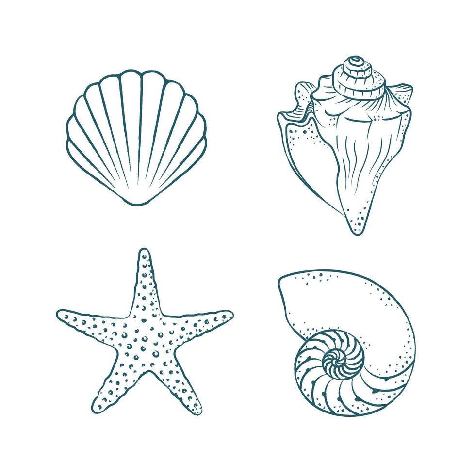 Seashells vector illustration set. Abstract boho sketch doodle style. Illustrations for menu, seafood restaurant design, resort hotel spa, surf boards. Wall Art Print, t shirt, phone case