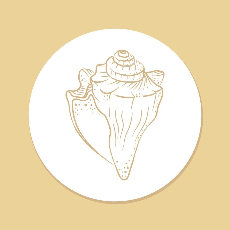 Hand drawn conch shell sticker, aquatic life illustration vector
