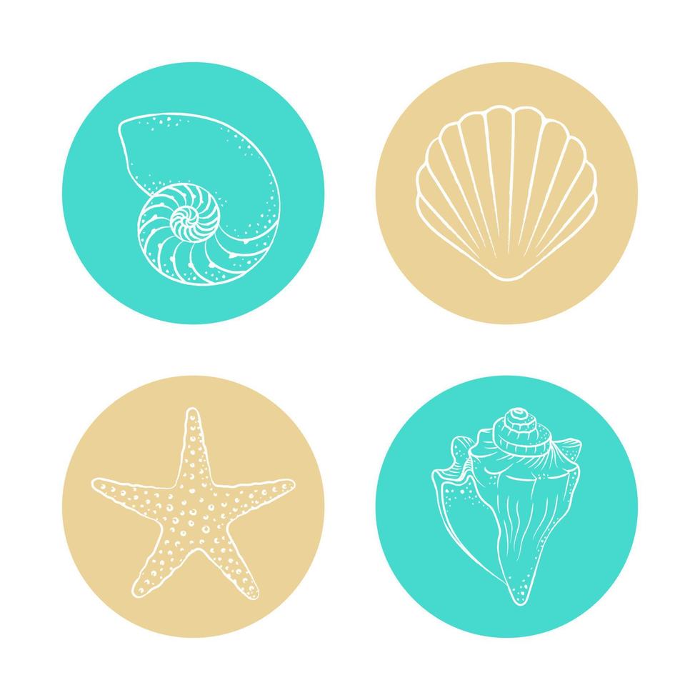 Seashells and starfish sticker set, hand drawn aquatic marine life illustration vector