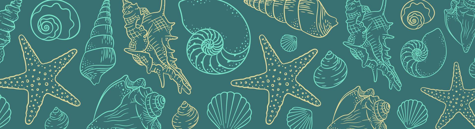 Summer time horizontal banner background. Hand drawn sea shells and stars collection. Marine illustration of ocean shellfish vector