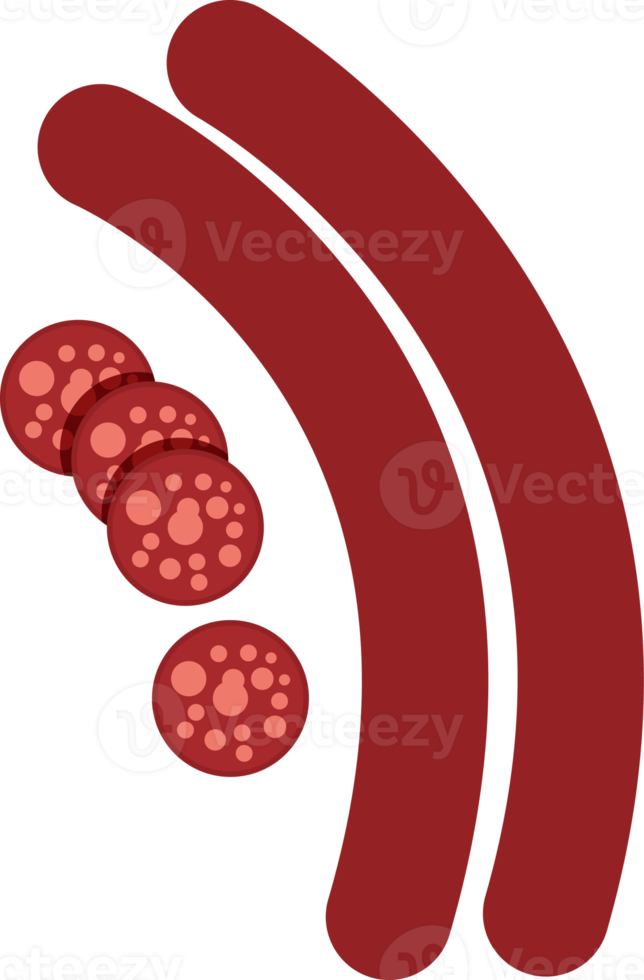 ilustración de comida nacional de españa png