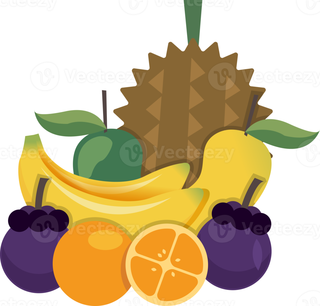 thailand national fruit  illustration png